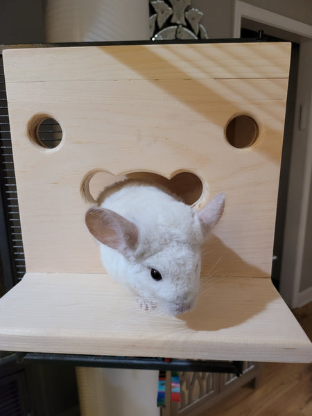 chinchilla hanging house