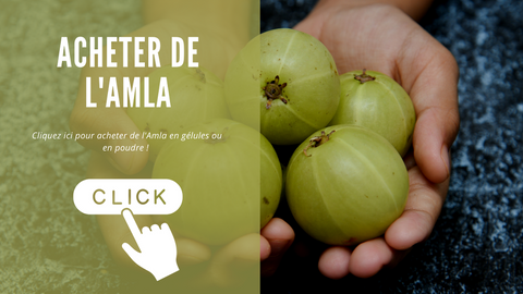 Ou acheter de l amla - fruit ayurvedique