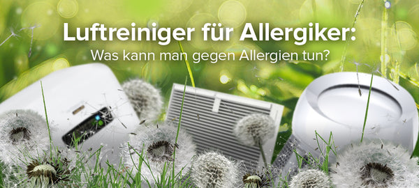 Lufteiniger gegen Allergien