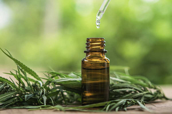 cbd supplement 