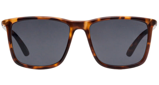 MEN'S COLOURED SUNGLASS - SNV Shoppee