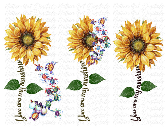 Free Free 285 Sunflower Waterslide Svg Free SVG PNG EPS DXF File