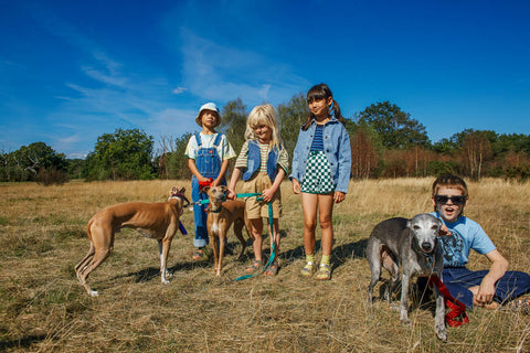 kids in sandals in the park with dogs