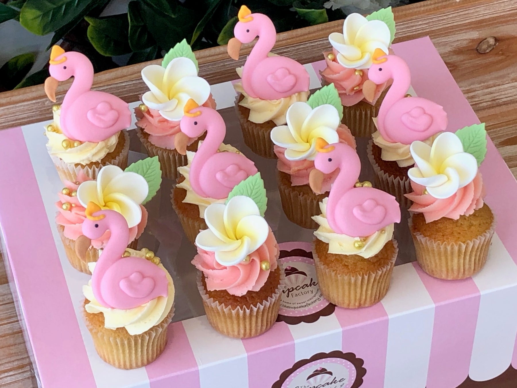 Flamingo Theme Cupcakes 12 Pack The Cupcake Factory 4303