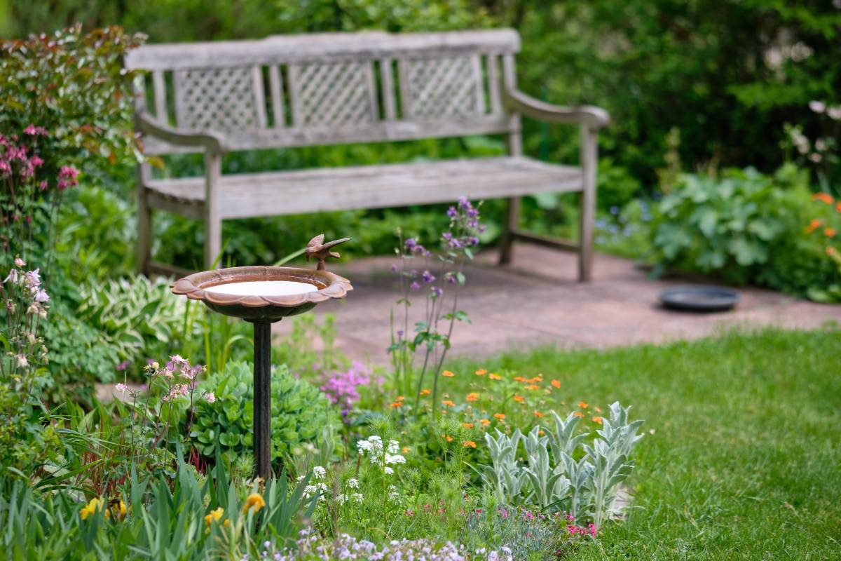 Springtime garden with flowering plants, grass and a bird bath and a wooden bench on a sunny day