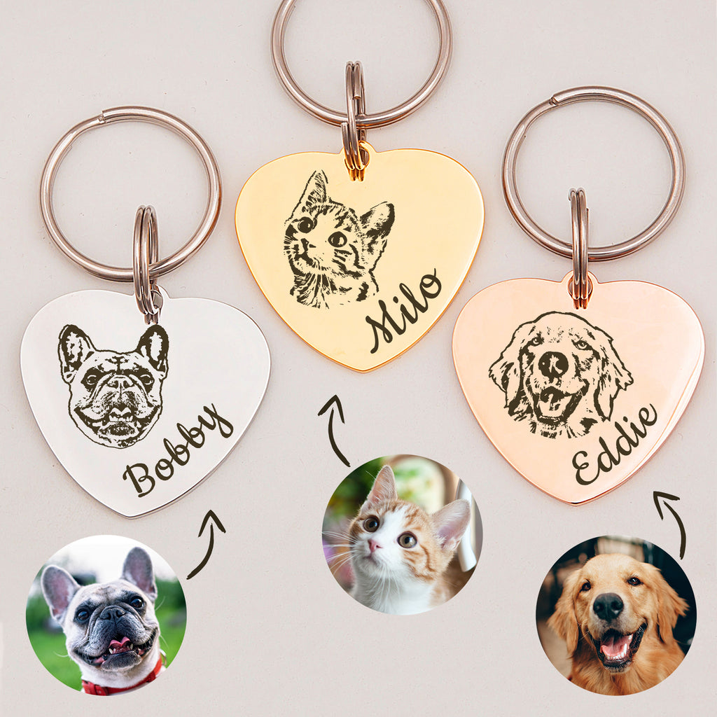 ACRYLIC PLASTIC PET Dog Cat Identification Name Tags-Custom