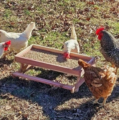 Cedar Chic-Nic-Table Chicken Feeder on Harvest Array