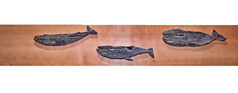 Three Reclaimed Wooden Whales mounted to an Elm Board Plaque