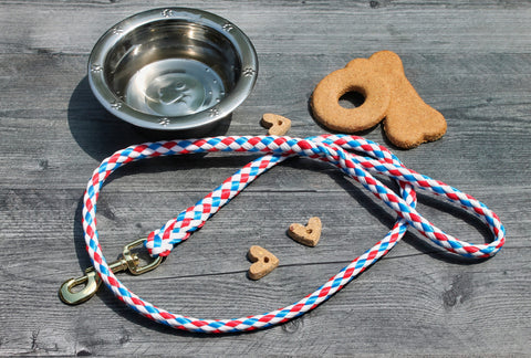 Shop the best dog leashes for training and walking. Soft, durable, and made in America. Perfect for small to medium-sized dogs. Get yours now!