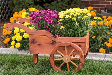 Enjoy Amish made outdoor furniture crafted in the USA. Shop durable, charming Amish wooden carts—perfect for your garden. Free US shipping.
