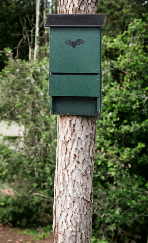 Amish Made Poly Bat House