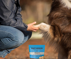 Premium low calorie training treats for dogs. Peanut butter flavor. Made in the USA by a woman/veteran owned small business. Don't miss out, order today!