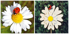 Brighten your outdoor space with wooden garden stakes, ladybug accents & American craftsmanship.