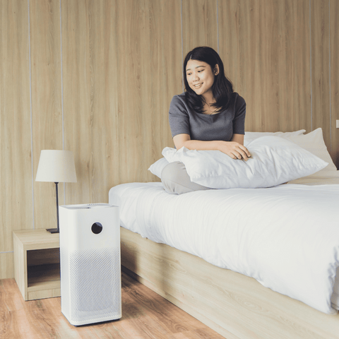 Invest in an Air Purifier for Lasting Freshness