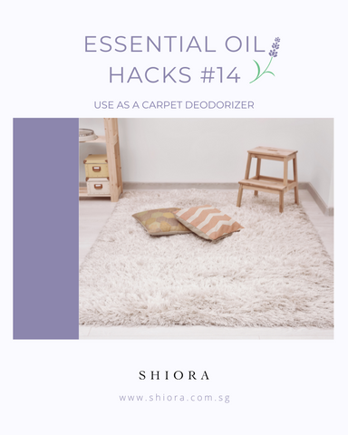 shiora essential oil hacks 14