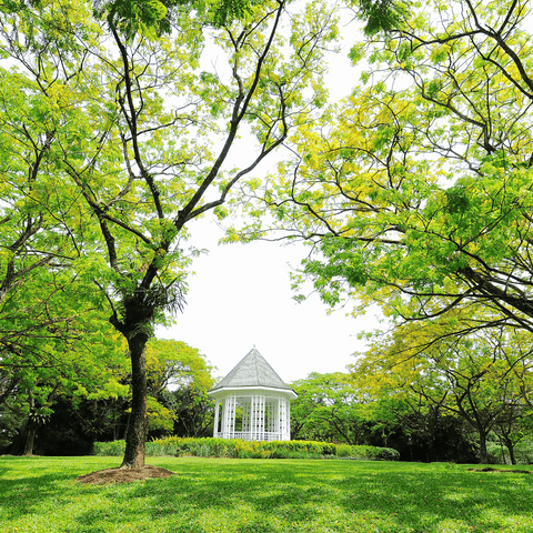 Wander Through Nature Trails