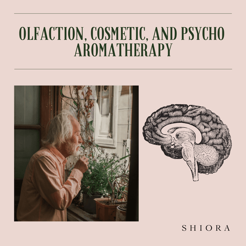 olfaction, cosmetic, and Psycho aromatherapy