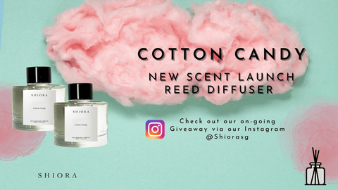 SHIORA New Launch Cotton Candy Reed Diffuser Giveaway on Instagram