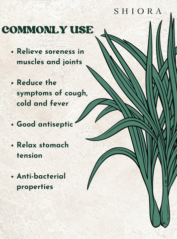 Lemongrass commonly usage, Relieve soreness in muscles and joints  Reduce the symptoms of cough, cold and fever  Good antiseptic  Relax stomach tension  Anti-bacterial properties