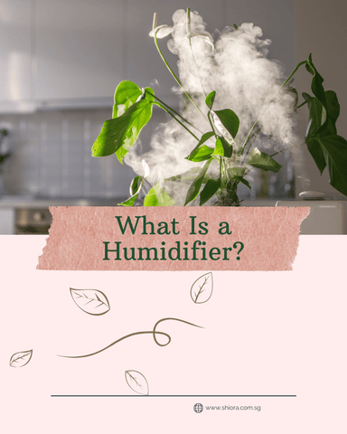 What is a Humidifier?