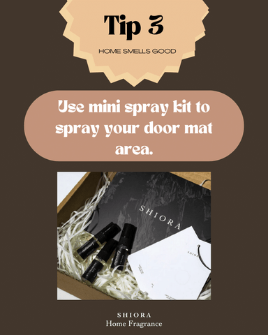 SHIORA Blog - 5 tips & tricks to quickly make your home smell fabulous for last minute guest visit: tip3 use mini spray kit