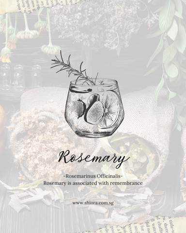 shiora blog image aromatherapy herbs rosemary