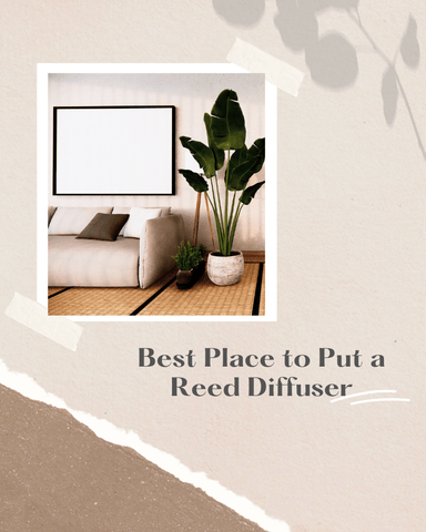 Best place to put your reed diffusers