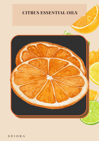citrus essential oil oranges lemon shiora blog image