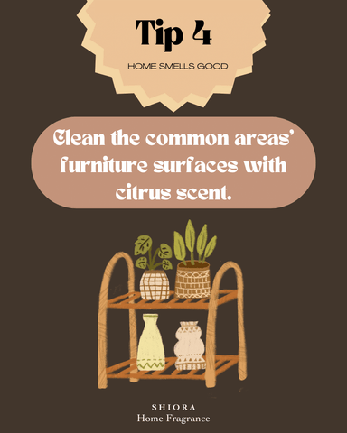 SHIORA Blog - 5 tips & tricks to quickly make your home smell fabulous for last minute guest visit: tip 4 clean the common area with citrus scent