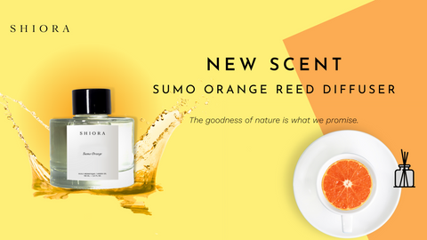 aromatherapy singapore best reed diffusers, new scent sumo orange reed diffuser