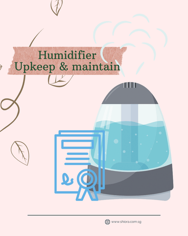 Humidifier Upkeep & maintain