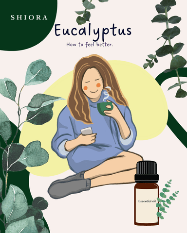 Eucalyptus