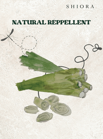 Lemongrass Essential Oil as a natural repellent
