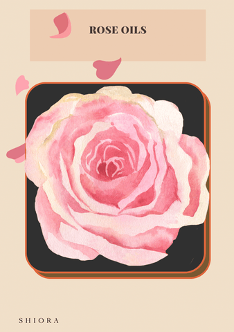 rose oil to bring back sense of smell shiora blog image