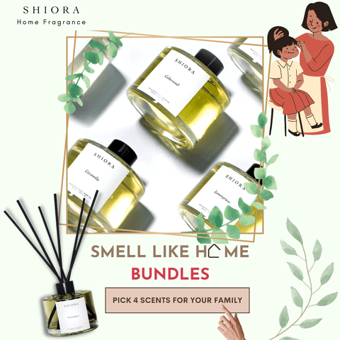 Singapore reed diffuser value bundle gift set aromatherapy essential oil