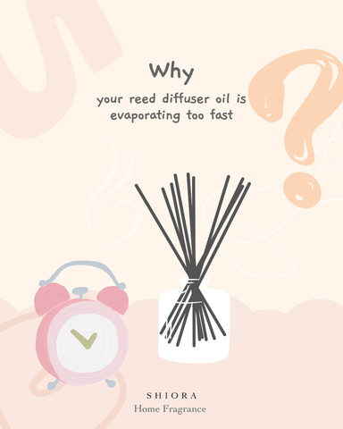 why your reed diffuser oil is evaporating too fast - shiora blog image