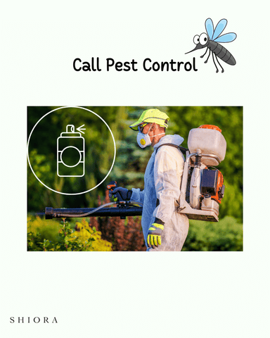 Call pest control hotline