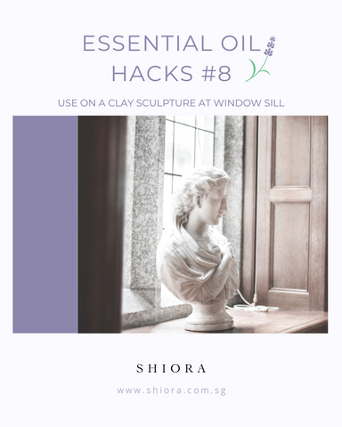shiora essential oil hacks 8