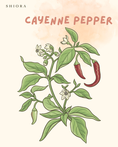 blog image cayenne pepper