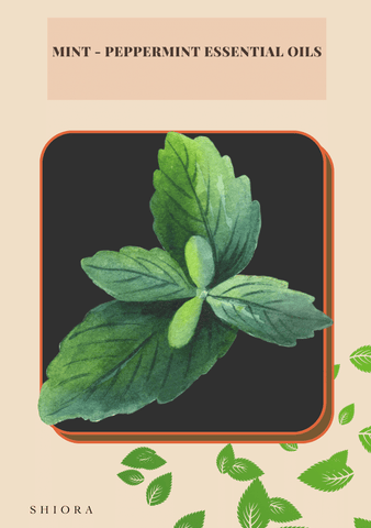 peppermint essential oil bring back sense of smell shiora blog image