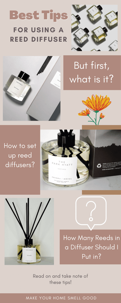 Best tips for using a reed diffuser infographics