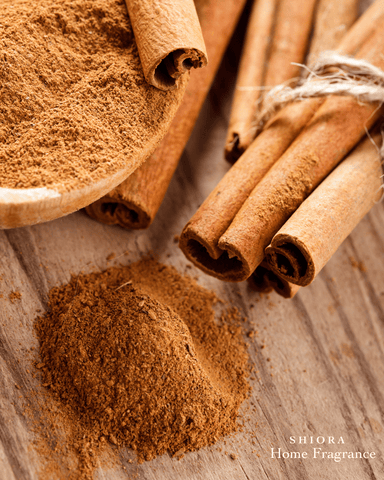 Cinnamon Essential Oil to Ease Depression