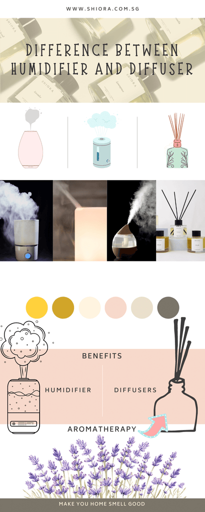 Difference Between Humidifier and Diffuser Infographics