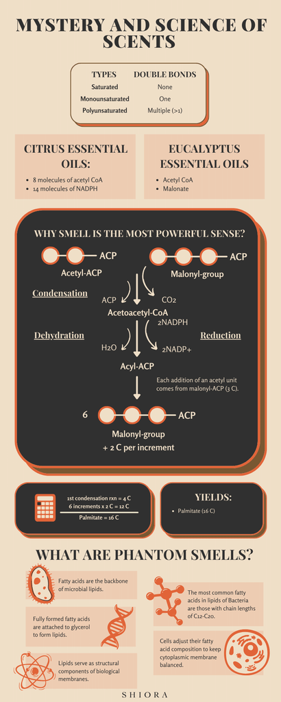 mystery and science of smell shiora infographics