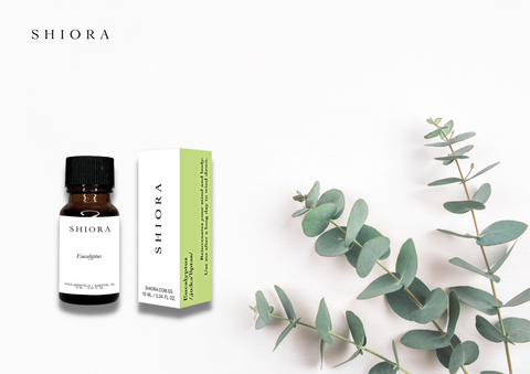 Eucalyptus features a particular camphoraceous smell, which some people characterise as sharp and slightly therapeutic— kind of like rosemary. It's a multifaceted forest aroma with hints of mint, honey, and citrus. Imagine hiking along an airy stream inside of a sunny pine forest.