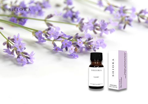 Lavender pure essential oil has a very distinct smell. Once you've smelled lavender, you will recognize it instantly. Overall, it has a floral scent, but one that is light and fresh, without being too pungent or overwhelming. It can also have a sweetness to it with herbal, balsamic undertones and notes.