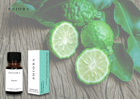Bergamot - a versatile citrus fruit often used in the scent palette as well as DIY reed diffuser base formula. This little and round fruit is similar in fragrance to sweet orange, but also has a fresh fruity quality with spicy notes, and it is used to create some of the most inspiring and evocative aromas.  There are benefits of different essential oils and Bergamot furnishes a floral and citrusy aroma that comforts the senses and releases tension from the muscles. This pure essential oil is well known as a popular digestive, enabling your stomach for faster and smoother digestion. It can also help fight feelings of anxiety and dismay.