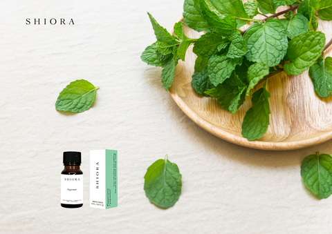 Peppermint is a hybrid mint that's a cross between spearmint and watermint. It can be found naturally in North America and Europe. Peppermint essential oil can be extracted from the leaves of the peppermint plant and is used for a variety of purposes. It has a sharp odour that's cool and refreshing, and the taste is similar.