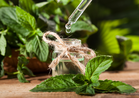 peppermint leaf and Reed Diffuser bottle