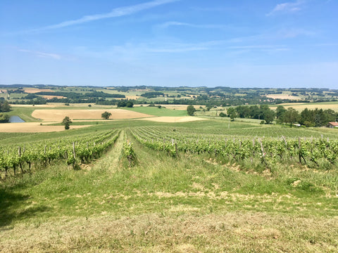 Domaine Entras, Colina Oeste, Côtes de Gascogne